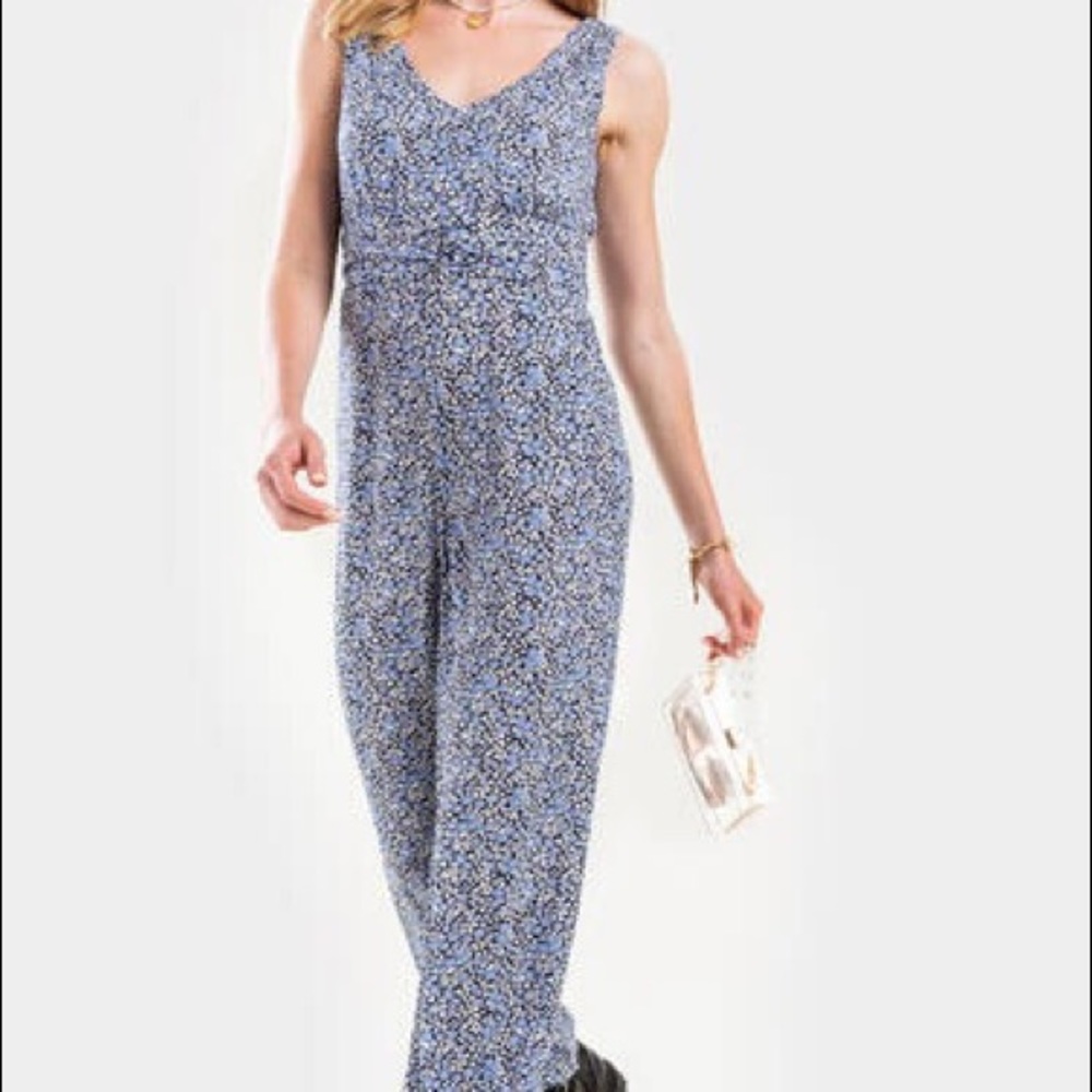 Francesca’s Sleeveless Blue Floral Jumpsuit Size 2X